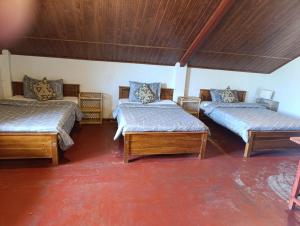 Misty Mount Hostel