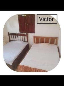 Palapa las 3sirenitas