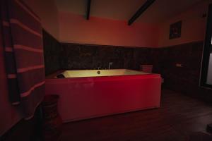 Loft con hermosas vistas y Volcán Turrialba