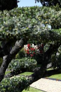 B&B / Chambres d'hotes Bastide des Demoiselles : photos des chambres