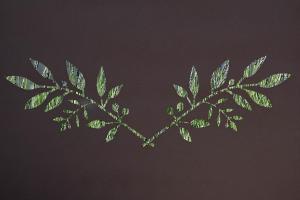 B&B / Chambres d'hotes Bastide des Demoiselles : photos des chambres