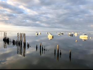 Villas VILLA ESCAPADES AU FERRET ideal Famille ou groupe d'Amis avec piscine chauffee 5 chambres Proche plages et pistes cyclables commerces Sejour paisible au coeur du Bassin d'Arcachon Nous repondons tres rapidement aux demandes de renseignements : photos des chambres