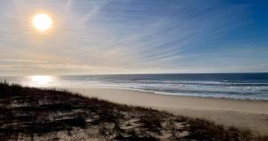 Villas VILLA ESCAPADES AU FERRET ideal Famille ou groupe d'Amis avec piscine chauffee 5 chambres Proche plages et pistes cyclables commerces Sejour paisible au coeur du Bassin d'Arcachon Nous repondons tres rapidement aux demandes de renseignements : photos des chambres