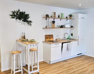 Altstadt INsel - workaction - free parking - Audi - Balkon - Aufzug