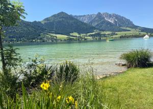 Apartment Liebelei am See - Traumblick aufs Kaisergebirge - nur ein Katzensprung zum See