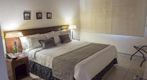 Terranova Suites