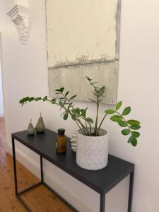 1860s Gem in Norwood, Adelaide