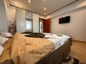 Belvedere Residence Splaiul Unirii Nice View