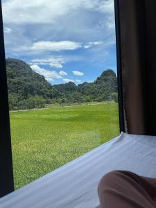 Trang an rice field homestay