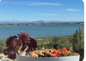 Appartements Appartement 1ere ligne Vue mer, acces direct plage : photos des chambres
