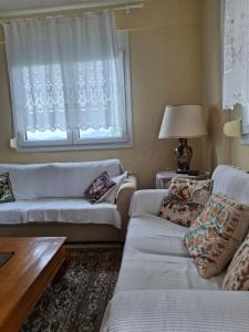 4BR Trekkers Retreat in Spilaio Grevena