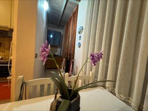 Seaside apartment near Shkembi Kavajes