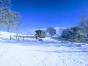 The Wagon, rustic off grid experience