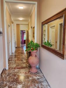 FalcoBianco GuestHouse