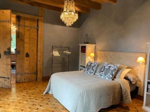 B&B / Chambres d'hotes Chateau de Morgenex : photos des chambres
