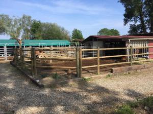 Campings Blue Grass Ranch - MobilHome YUCCA : photos des chambres