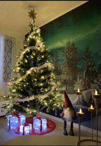Aurora Night Stay in Rovaniemi