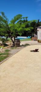 Maisons de vacances Dans la nature, proche mer, villa de Standing avec piscine, jaccusi : photos des chambres