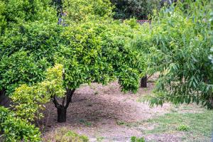 Case Vacanze Il Marchetto img23