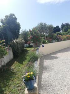 Appartements Sophie et Jamiel : photos des chambres