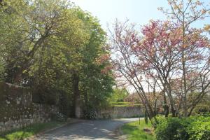 L'horta photo 18