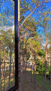 XTSY Family Rooms & Dorms