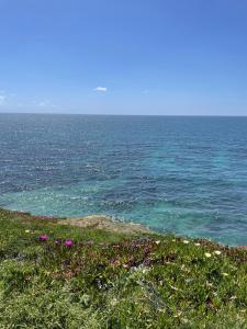 Dezassete - Ericeira