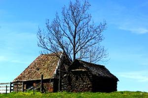 Maisons d'hotes La Maison des Chats : photos des chambres