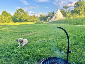 Romantic Wildlife Tipi Teepee Tomnatic Bihor Romania Apuseni