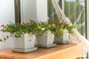 Luxury Garden House Apartment - Golf & Tennis Court & Pools