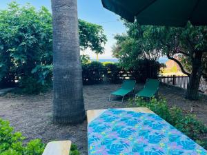 Apartment in Villa under Grand Palm Tree & Garden