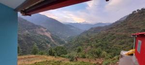 ᴛʀɪꜱʜᴀᴋᴛɪ ᴀᴜʀᴀ