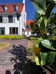 The Cotton Suites B&B