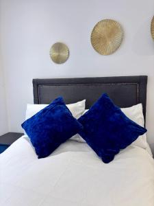 Posh 2 Bedroom Apartment with Gym