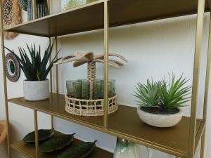 Appartements Magnifique suite dans villa de luxe : photos des chambres