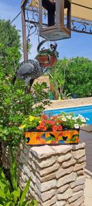 Maisons de vacances Lou Bagnou Mi-Clos : photos des chambres