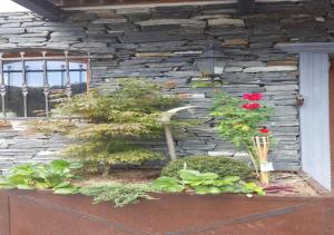 Turistična kmetija Weiss