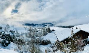 Chalet mit Traumblick & Sauna