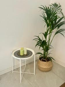 Milano Green Stay - Cozy & Connected