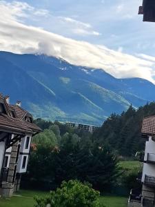 Sunny Mountain View apartment