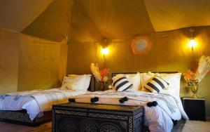 Fantastic desert camp