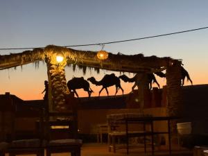 Fantastic desert camp