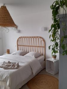 Le gîte de campagnette avec son jacuzzi privatif