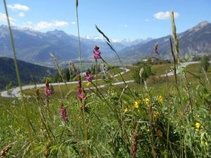 Maisons de vacances Chalet familial Vars : photos des chambres