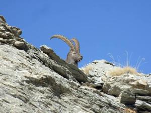 Maisons de vacances Chalet familial Vars : photos des chambres