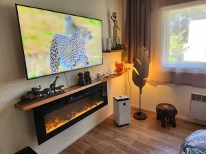 Appartements Loveroom African vibe : photos des chambres