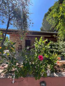 Triple Room with Terrace room in Artemis Vassilikos