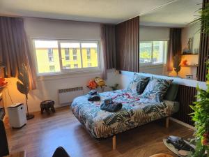 Appartements Loveroom African vibe : photos des chambres