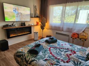 Appartements Loveroom African vibe : photos des chambres