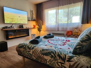 Appartements Loveroom African vibe : photos des chambres